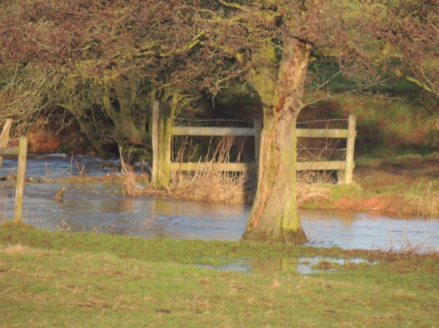 22_02_2015 The Bridge in the Meadow cannot be seen as Newstead Brook  Floods